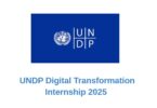 UNDP Digital Transformation Internship 2025