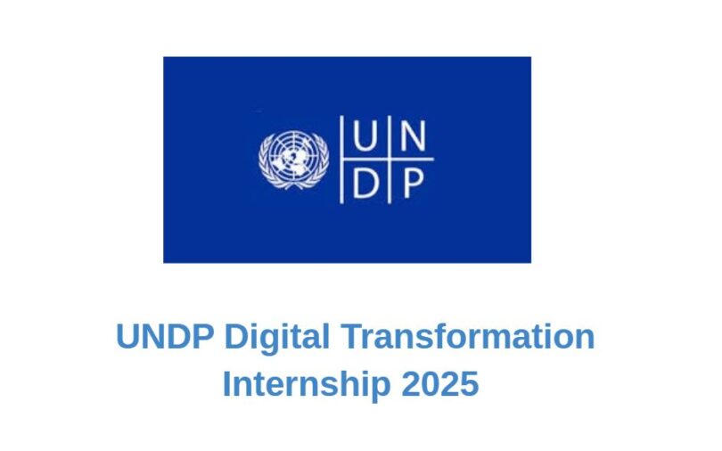 UNDP Digital Transformation Internship 2025