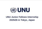 UNU Junior Fellows Internship 2025